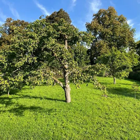 Am Gallerturm Mit Seeblick